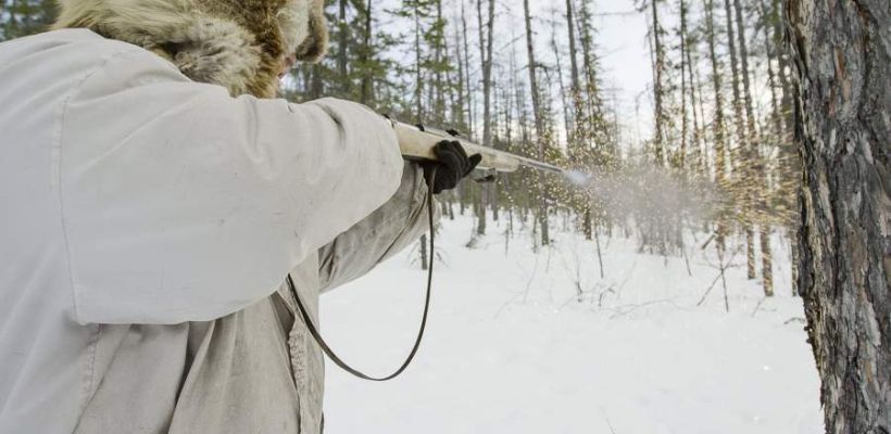 В Томпонском районе мужчина заработал 450 тысяч рублей на добыче волка. Там самая большая популяция хищника в Якутии