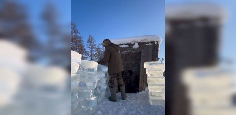 «I wanna live with you». Панда Саха рассказал, как хранить лед на лето. Подписчики задали много вопросов
