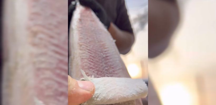 Японцы сравнили якутов с древними людьми из-за ролика Панды Саха