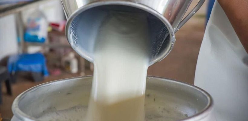 Сельхозкооператив «Самартай», который должен государству 45 миллионов, банкротят