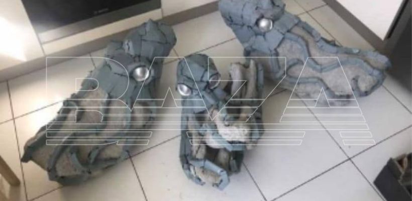 Якутянин пытался вывезти в Великобританию облепленный осьминогами череп шерстистого носорога