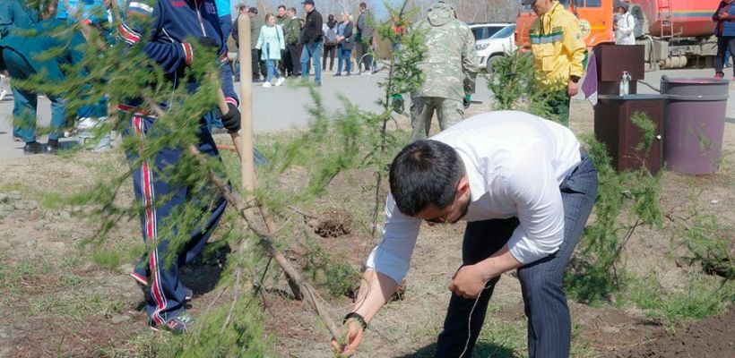 Мэр Якутска планирует свой опыт садовода масштабировать до городского уровня