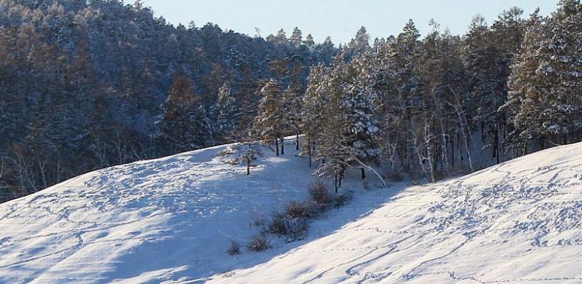 Спасатели отыскали мать с замерзающей дочерью в районе Кильдямцев