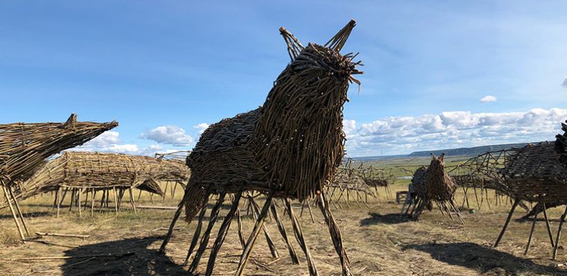 «Кони из палок». Почему экс-главный архитектор Якутии продвигала современное искусство в массы