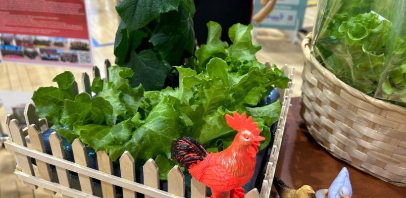 Зимнее чудо: первый урожай зелени получили ученики Батаринской школы