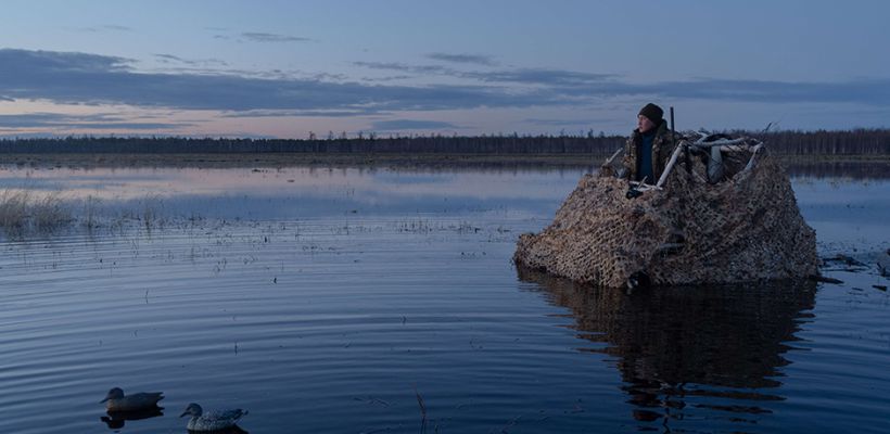 Весенняя охота на водоплавающую дичь в Якутии: сроки открытия по районам в 2024 году