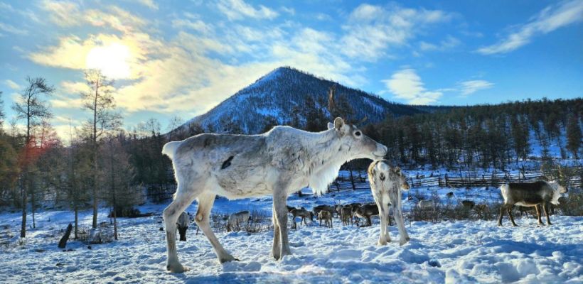 Эстетика Момского улуса в фотографиях Надежды Соркомовой: «Красота – она везде!»