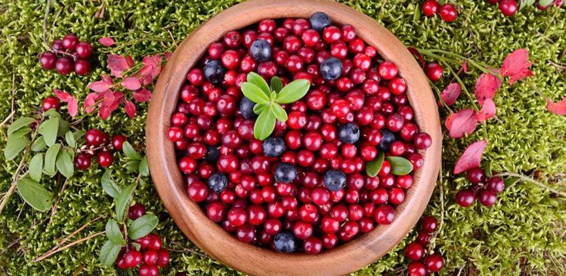 Якутия планирует экспортировать продукцию из оленины, жеребятины, меда и дикоросов