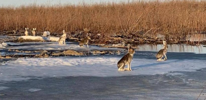 Как в Якутии готовятся к весеннему паводку?
