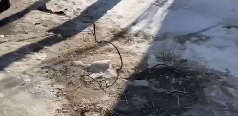 Жители 17 квартала просят убрать железные штыри, торчащие во дворах домов