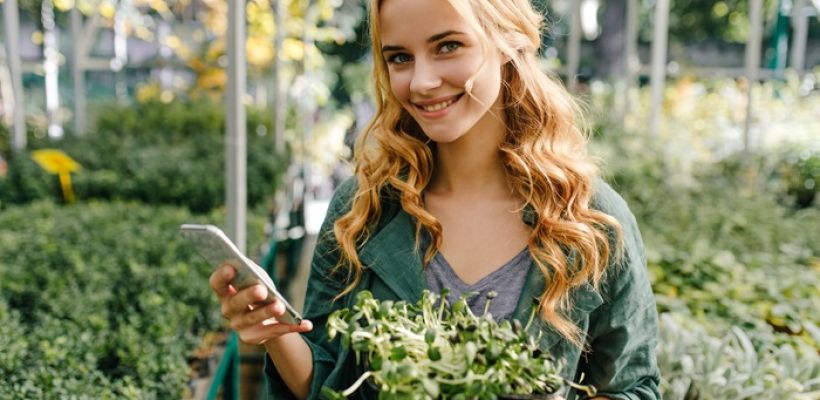 К дачному сезону якутяне чаще покупают роутеры и электронные книги