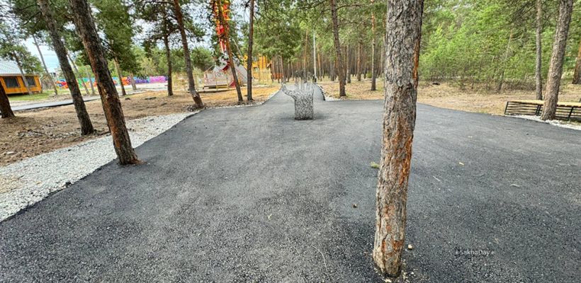 Фотофакт: В единственном парке Якутска деревья полностью залили асфальтом
