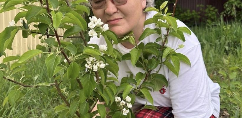 Как выбрать саженцы и посадить  в открытый грунт? Советы садовода