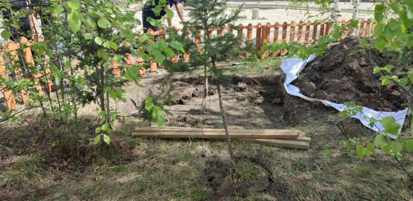 «Одно делают, другое – ломают». В палисаднике музея в Старом городе раскопали зеленый уголок