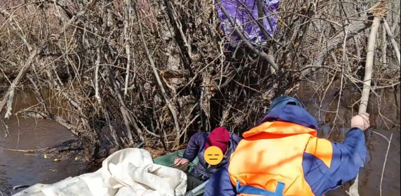 Паводок в Якутии: развенчание мифа о спасении бабушки, которая двое суток держалась за тальник, чтобы не утонуть