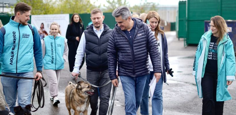 Остановить домашнее насилие, спасти животных, помочь матерям — топ-3 инициатив «Новых людей» для Якутии