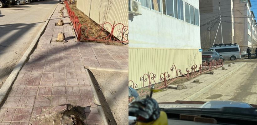 В Якутске пеньки на тротуаре за год выросли