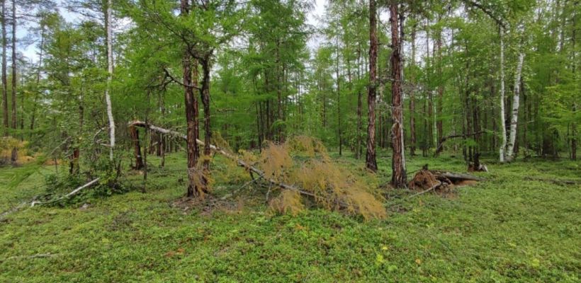 Пропавший в Сунтарском районе мужчина найден мертвым