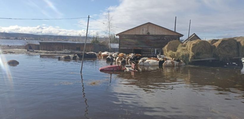 Уровни воды повышаются в трех селах Намского улуса. В девяти селах затоплены дворы