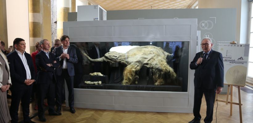 В Москве показали криокамеру с мамонтенком Юкой