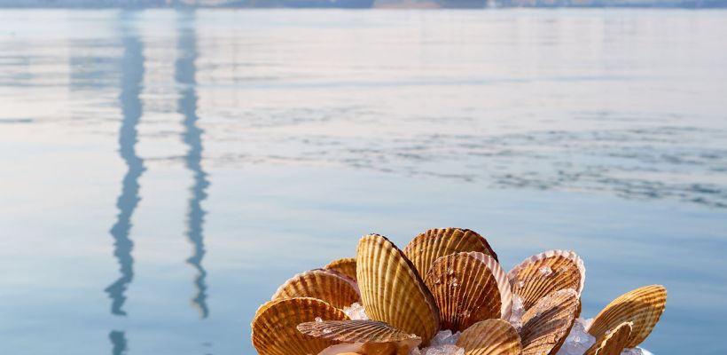 Цифровой гид по локальной кухне встретит якутян, приезжающих во Владивосток