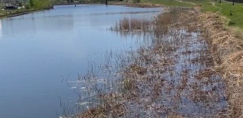 В Якутске подрядчик, не запустивший фонтаны, стал организатором фестиваля за 21 миллион рублей