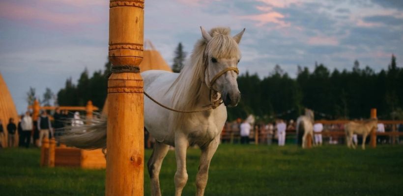 Якутский ученый об ысыахе и наряде: нельзя утверждать, что маска-амнах только погребальный элемент