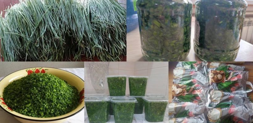 В Якутске в интернете начали продавать полевой лук: цены