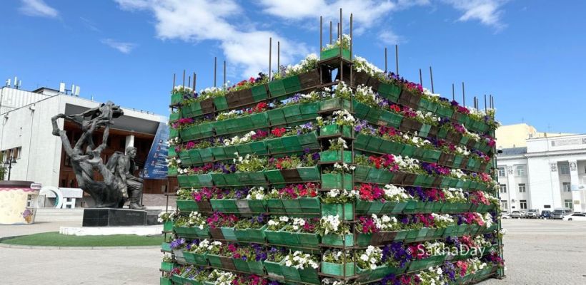 Пикеты скандального озеленителя дали результат? "Захаровки" появились на площади Дружбы