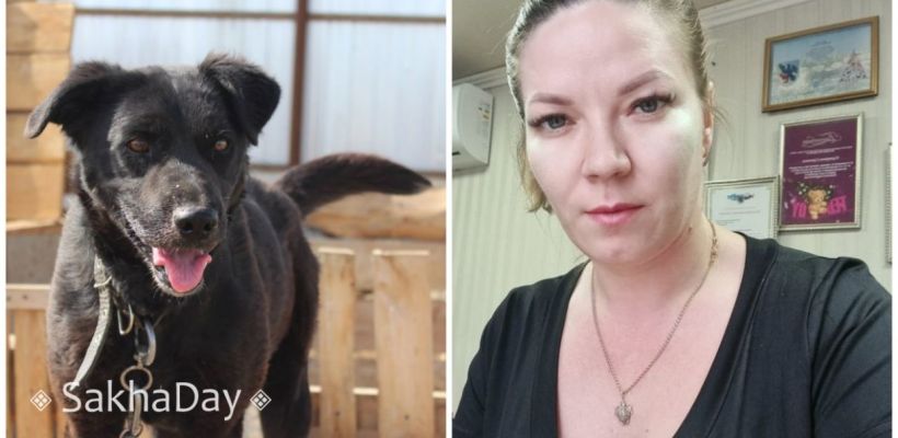 «Кто дыра в бюджете?»: Депутатам Якутии предложили затянуть потуже свои пояса, а не подписывать смертный приговор собакам