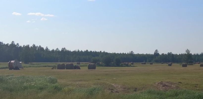 Потерялся ребенок в Таттинском улусе