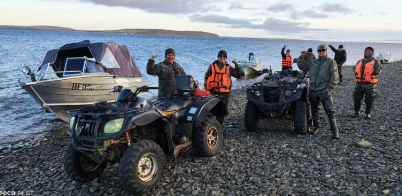 В Якутии белый медведь не хочет покидать свой «домик» в деревне