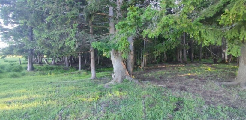 Потерялся ребенок в Мегино-Кангаласском районе