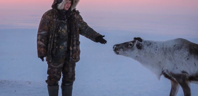 Почему якутяне редко едят оленину? Все дело в отсутствии убойных комплексов