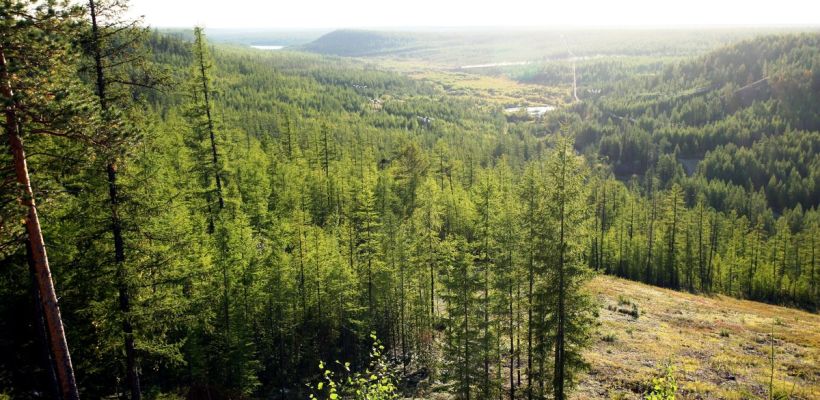 В Якутии за содействие в выявлении виновных в возникновении лесных пожаров  выплачивают денежное вознаграждение