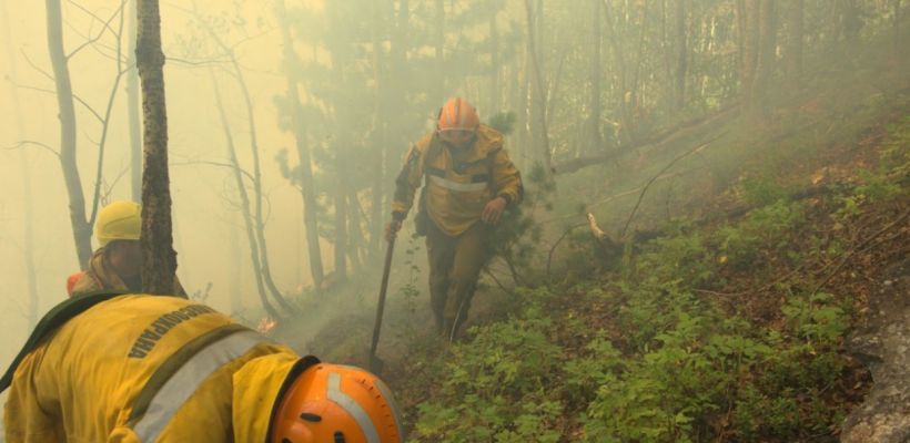 В селе Хоринцы Олекминского района объявят мобилизацию для тушения лесного пожара