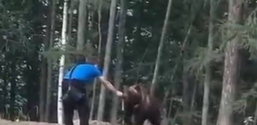 В Департаменте охотничьего хозяйства Якутии посмотрели ролик, где мужчина кормит с рук медведя. «Это обратная сторона героизма», — заявили охотоведы