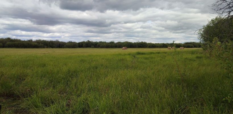 Пропала женщина возле Кэнкэмэ