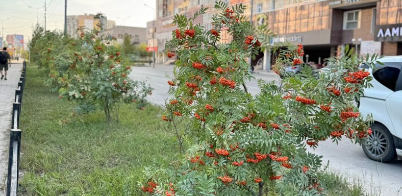 Синоптики в Якутске дали прогноз погоды на День знаний — 2 сентября