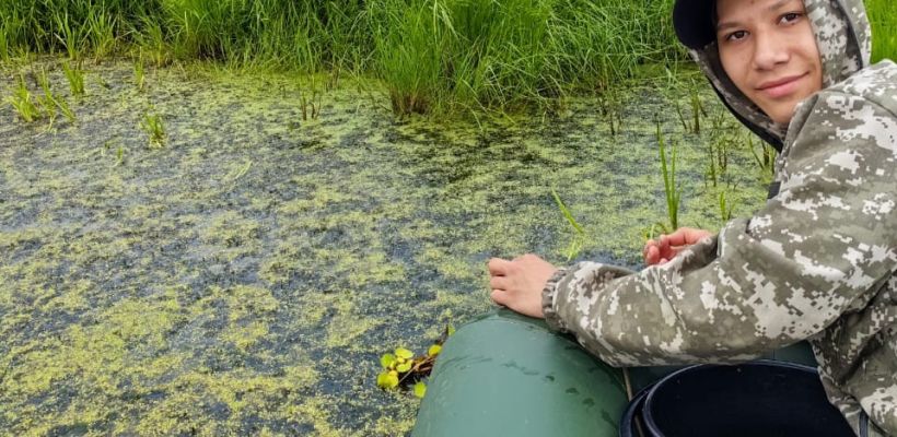 «Научный прорыв!» Как в Амге очищают озеро с помощью тропического водного растения