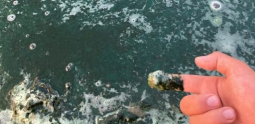 В Якутии выяснят причину загрязнения озера Нидили: «Скорее всего это цветение водоросли»