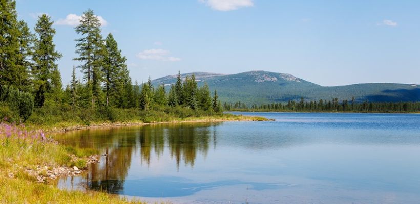 Общественный экологический совет посетит кластер Гросс