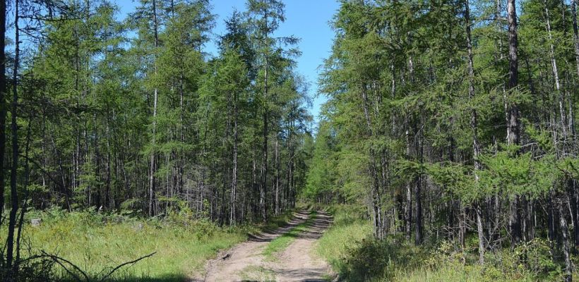 Потерявшийся в Чурапчинском улусе мужчина найден