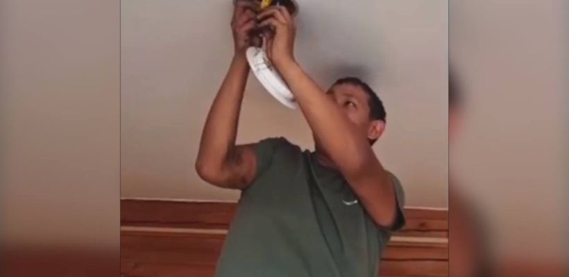 Жители Горного улуса собрали урожай съедобных грибов над натяжным потолком в частном доме