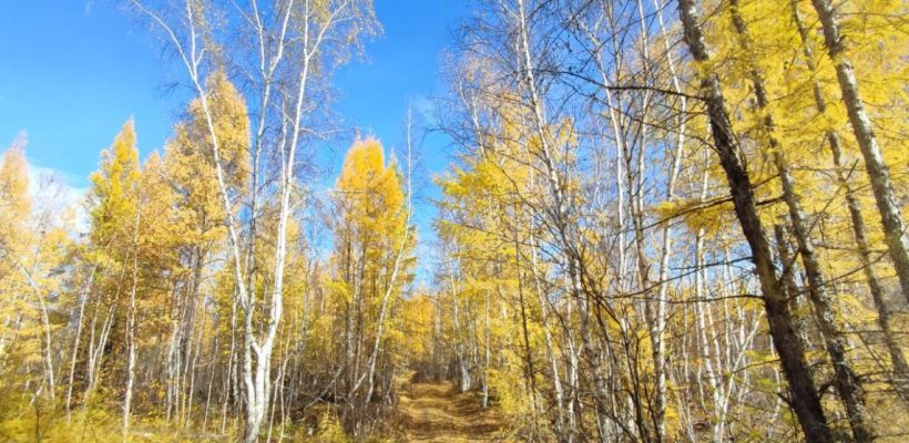 В Среднеколымском районе ищут пропавшего 3 месяца назад человека