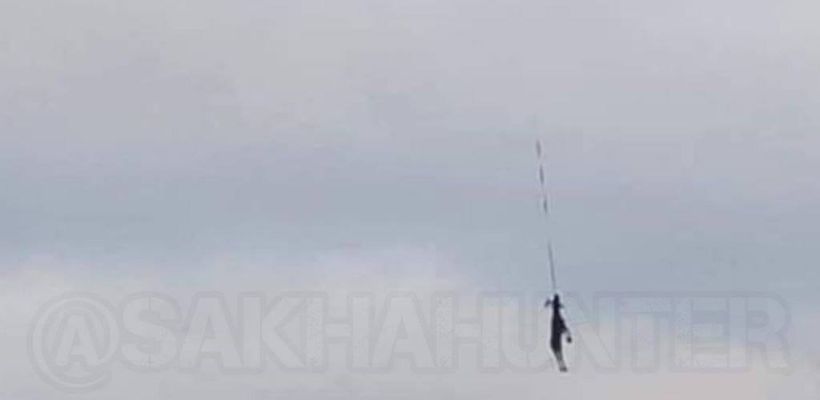 Прокуратура проверяет информацию о перевозке лося на вертолете в Якутии