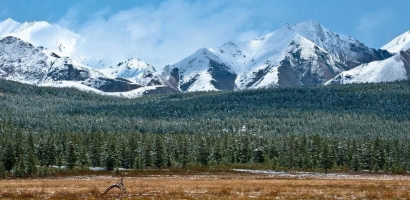 В горах Якутии нашли записку туристов из Казахстана, оставленную 40 лет назад