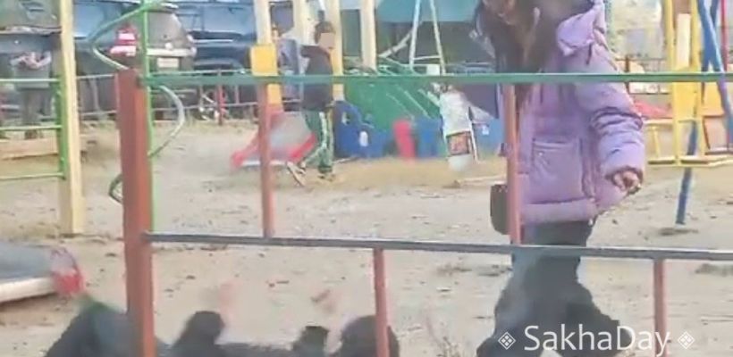 В Якутске школьницы упились быырпахом от ИП Борисова: как уберечь подростков от молочного пьянства?