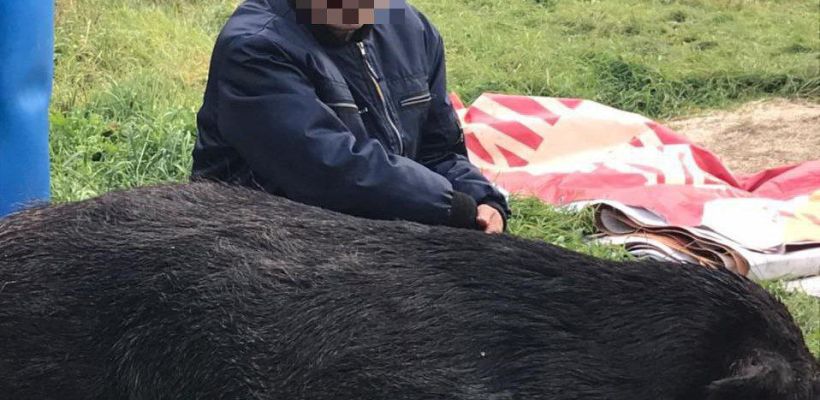 Якутская полиция нашла охотника, застрелившего кабана в Ленском районе. Фото с охоты распространили его дети