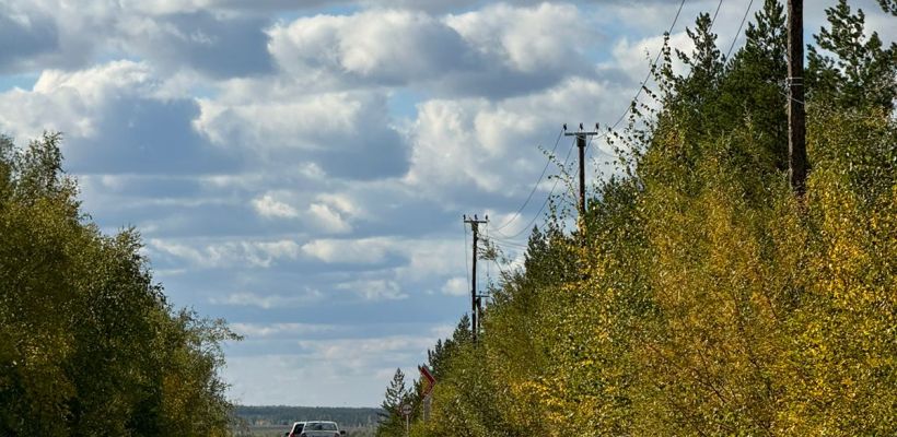 «Тепла мы уже не видим». Синоптики объявили о похолодании (с заморозками) в Якутске — температура будет ниже нормы на 7 градусов